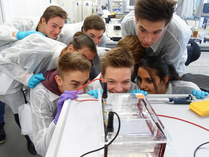 un groupe d'adolescents intéressés par une expérience scientifique