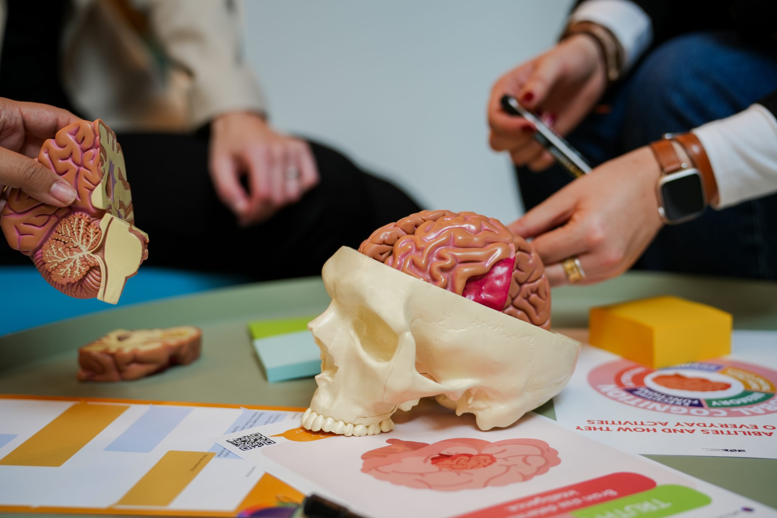 GetBrainHealthy: a nationwide initiative to promote brain health for ...