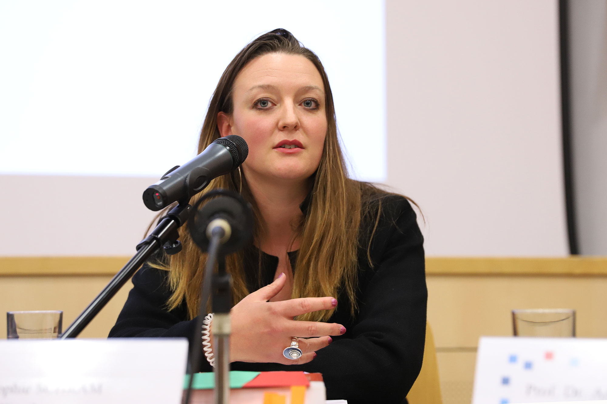 Forum Z Social inequalities in Luxembourg.  Sophie Schram