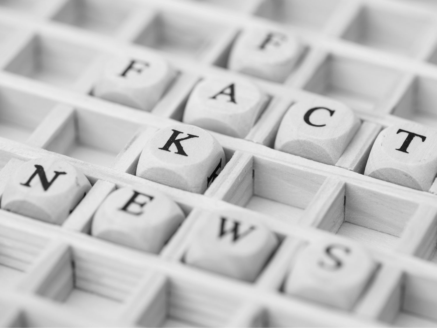 Black and White Image of a scrabble like board game with the words "Fake" and "Fact" overlapping on the "a", and "News" overlapping on the "e" in "Fake"