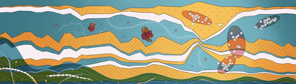 Time series analysis of microbiomes