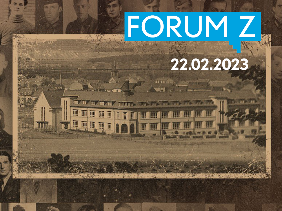 Forum Z Warlux