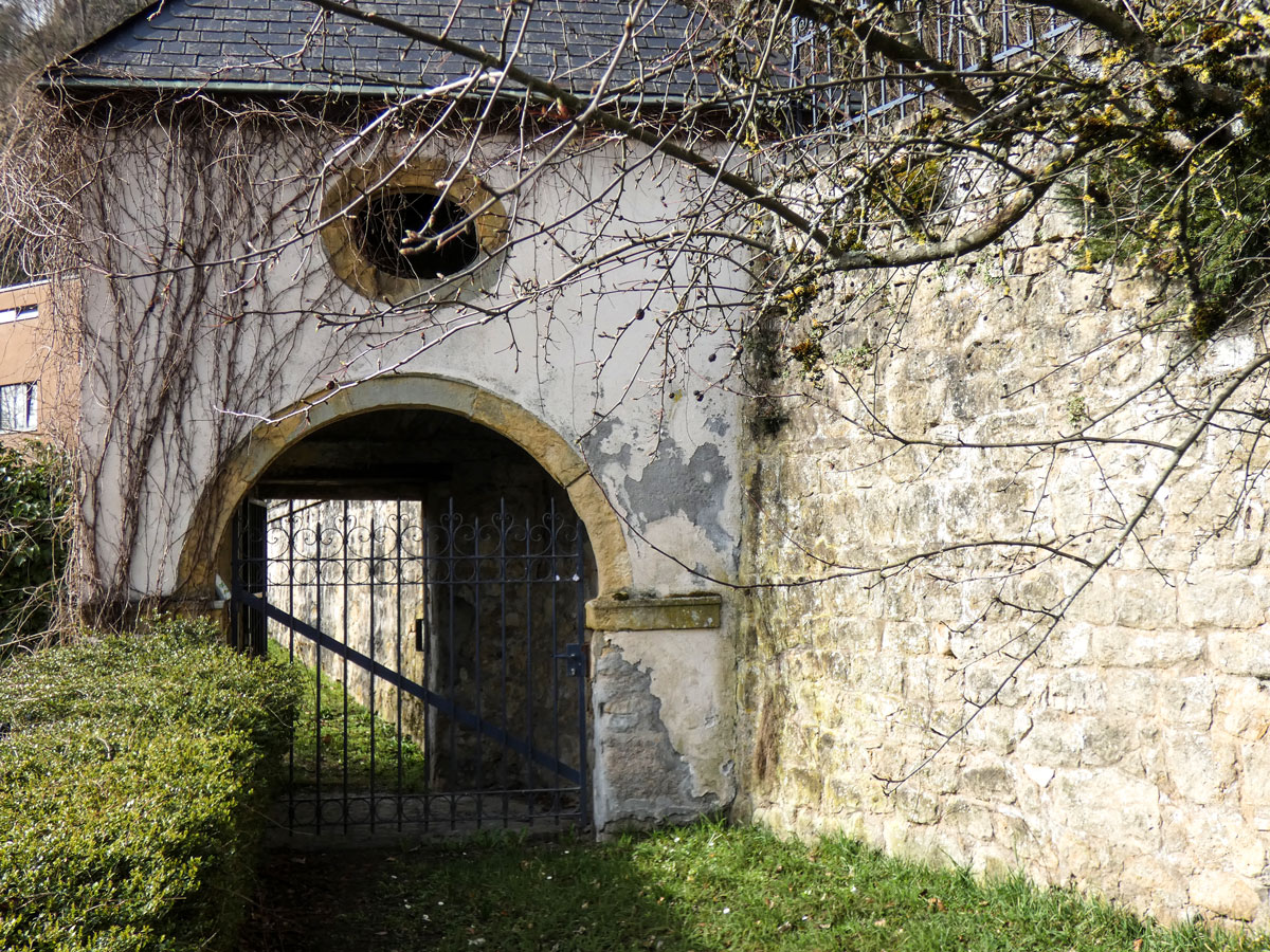 Schuman house garden