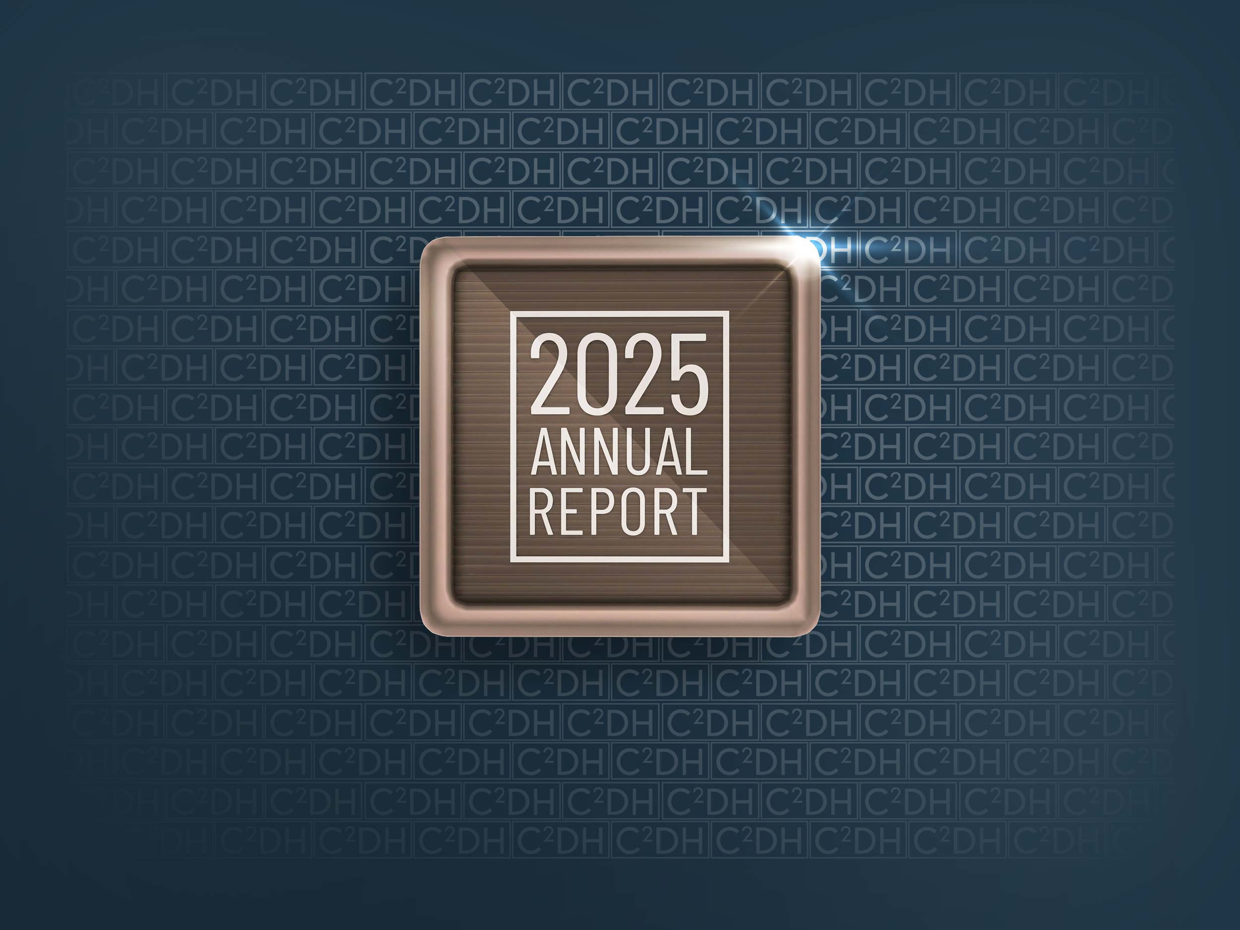 Annual report 2025