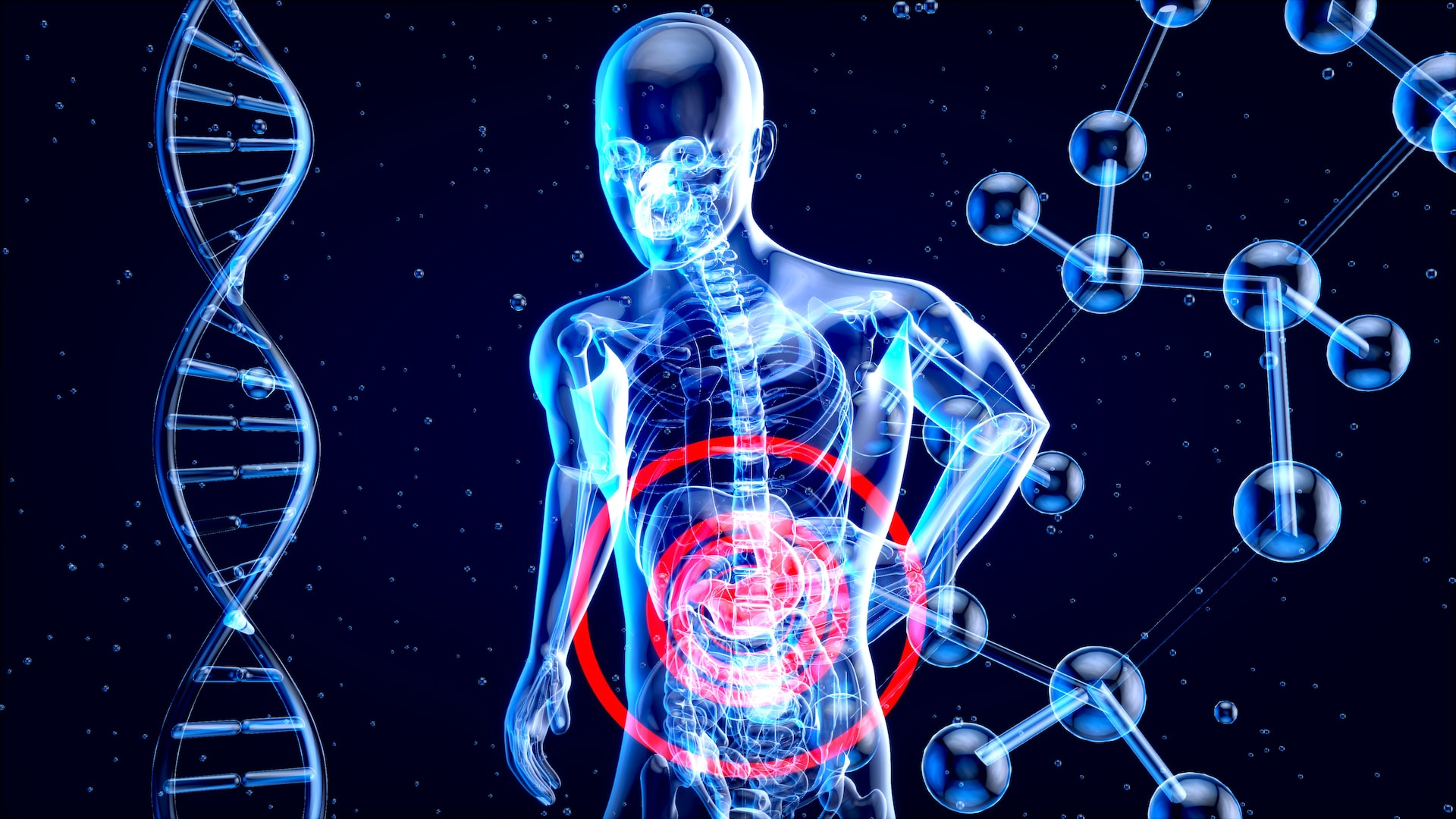 DSSE DP. Molecular Biomedicine. Overview.