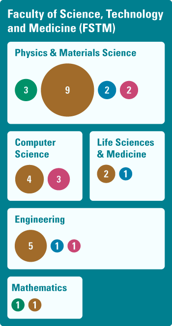 Figure representing the IAS funding instruments involved in the FSTM departments. Physics & Materials Science: Distinguished 3, Audacity 9, Young Academics 2, Brainstorm 2. Computer Science: Audacity 4, Brainstorm 3. Life Sciences & Medicine: Audacity 2, Young Academics 1. Engineering: Audacity 5, Young Academics 1, Brainstorm 1. Mathematics: Audacity 1, Distinguished 1.