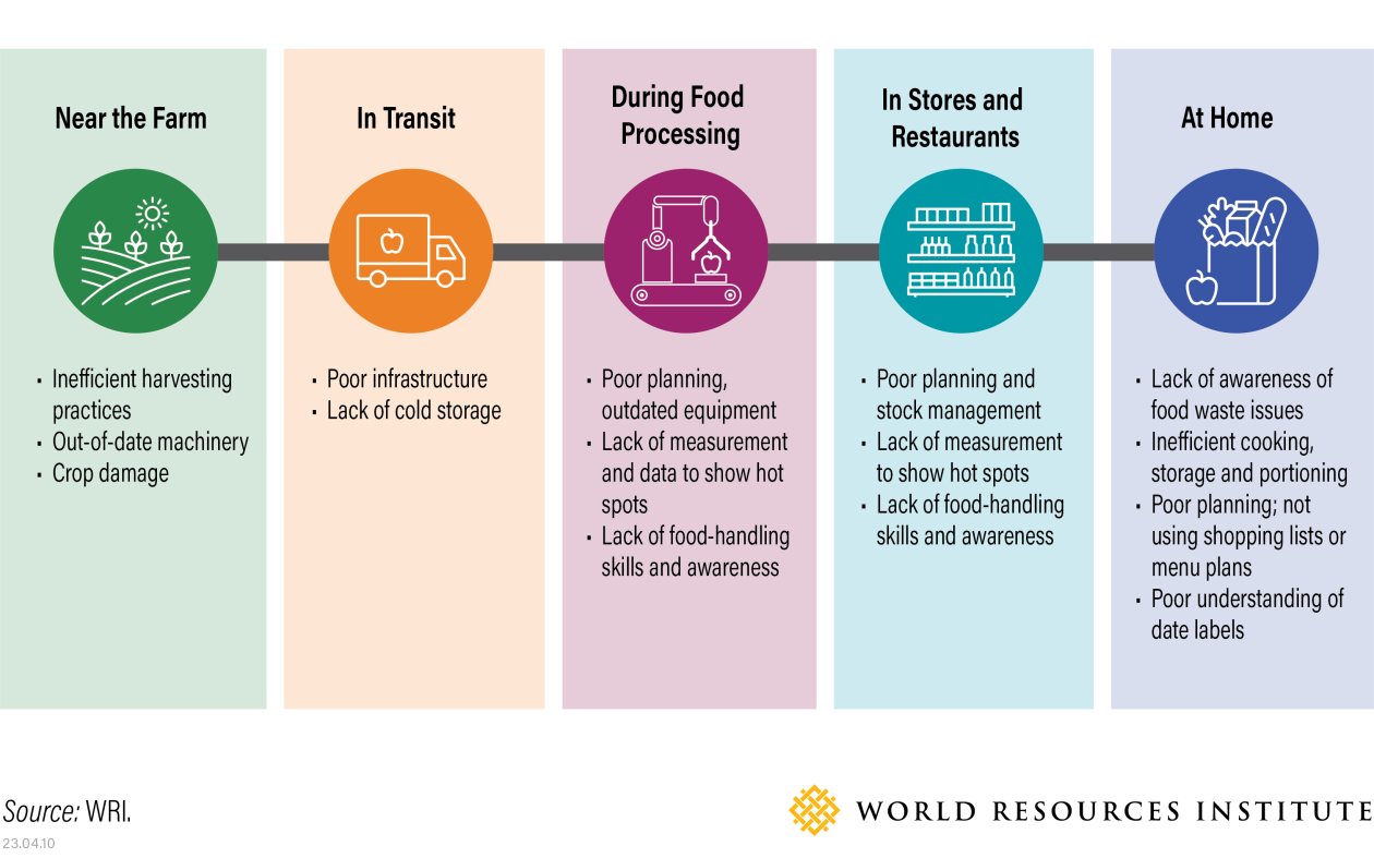 Drivers of food loss and waste